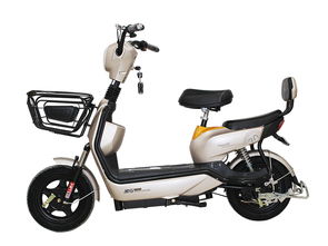 快看！行业黑马震撼登陆祁门，电动车市场迎来新变革