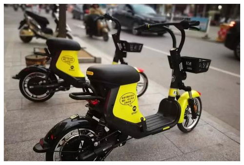 共享电动车为何“无人问窃”？行业人士 偷了等于自首